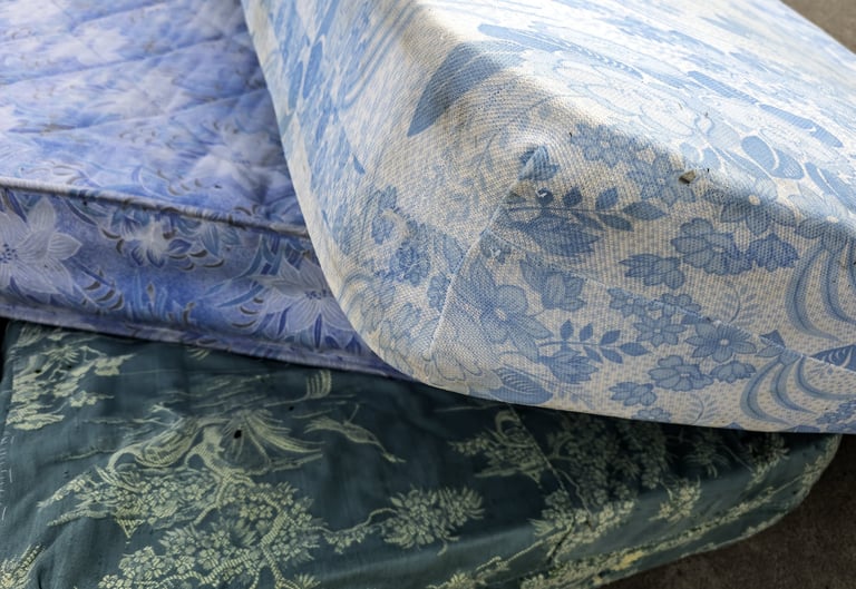 Construction debris removal